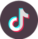 TikTok Icon